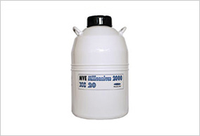 XC MILLENIUM 20